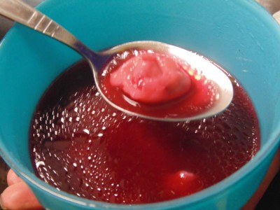 1530491_631743500218892_1202861344_n Przedszkole Żłobek Centrum Terapeutyczne | Limanowa Mordarka Przyszowa | skrzatek.eu|Wigilia i Msza Święta