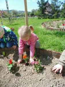 Przedszkole Żłobek Centrum Terapeutyczne | Limanowa Mordarka Przyszowa | skrzatek.eu|W naszym ogródku... siejemy i sadzimy