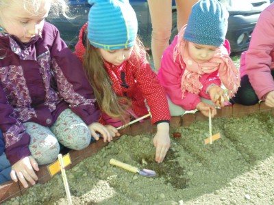 Przedszkole Żłobek Centrum Terapeutyczne | Limanowa Mordarka Przyszowa | skrzatek.eu|Mały ogrodnik sadzi cebulki tulipanów :)