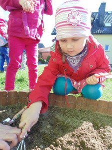 Przedszkole Żłobek Centrum Terapeutyczne | Limanowa Mordarka Przyszowa | skrzatek.eu|Mały ogrodnik sadzi cebulki tulipanów :)