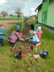 Przedszkole Żłobek Centrum Terapeutyczne | Limanowa Mordarka Przyszowa | skrzatek.eu|W naszym ogródku... siejemy i sadzimy