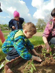 Przedszkole Żłobek Centrum Terapeutyczne | Limanowa Mordarka Przyszowa | skrzatek.eu|W naszym ogródku... siejemy i sadzimy