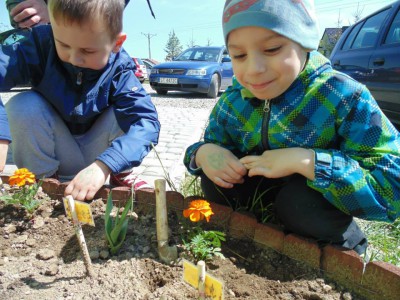 Przedszkole Żłobek Centrum Terapeutyczne | Limanowa Mordarka Przyszowa | skrzatek.eu|W naszym ogródku... siejemy i sadzimy