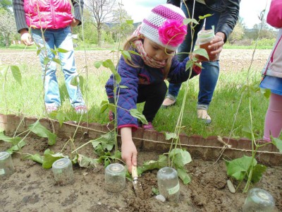 Przedszkole Żłobek Centrum Terapeutyczne | Limanowa Mordarka Przyszowa | skrzatek.eu|W naszym ogródku... siejemy i sadzimy