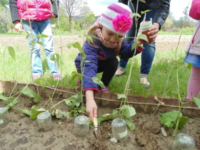 Przedszkole Żłobek Centrum Terapeutyczne | Limanowa Mordarka Przyszowa | skrzatek.eu|W naszym ogródku... siejemy i sadzimy