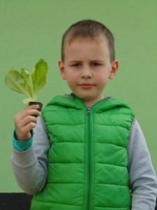 Przedszkole Żłobek Centrum Terapeutyczne | Limanowa Mordarka Przyszowa | skrzatek.eu|W naszym ogródku... siejemy i sadzimy