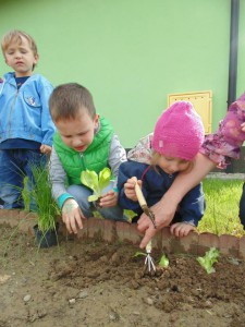 Przedszkole Żłobek Centrum Terapeutyczne | Limanowa Mordarka Przyszowa | skrzatek.eu|W naszym ogródku... siejemy i sadzimy