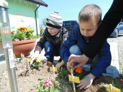 Przedszkole Żłobek Centrum Terapeutyczne | Limanowa Mordarka Przyszowa | skrzatek.eu|W naszym ogródku... siejemy i sadzimy