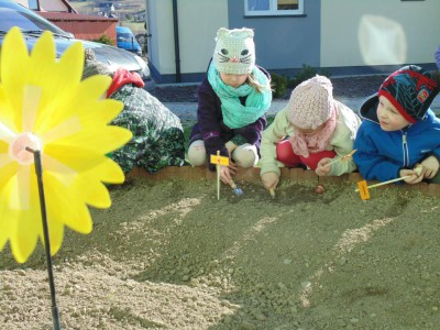 Przedszkole Żłobek Centrum Terapeutyczne | Limanowa Mordarka Przyszowa | skrzatek.eu|Mały ogrodnik sadzi cebulki tulipanów :)