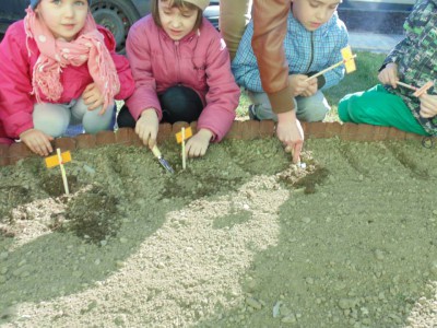 Przedszkole Żłobek Centrum Terapeutyczne | Limanowa Mordarka Przyszowa | skrzatek.eu|Mały ogrodnik sadzi cebulki tulipanów :)