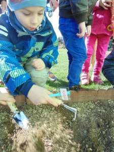 Przedszkole Żłobek Centrum Terapeutyczne | Limanowa Mordarka Przyszowa | skrzatek.eu|Mały ogrodnik sadzi cebulki tulipanów :)