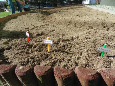 Przedszkole Żłobek Centrum Terapeutyczne | Limanowa Mordarka Przyszowa | skrzatek.eu|Mały ogrodnik sadzi cebulki tulipanów :)