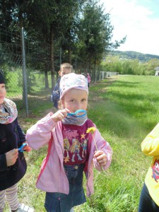 Przedszkole Żłobek Centrum Terapeutyczne | Limanowa Mordarka Przyszowa | skrzatek.eu|Co biega i lata po trawach i kwiatach