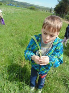 Przedszkole Żłobek Centrum Terapeutyczne | Limanowa Mordarka Przyszowa | skrzatek.eu|Co biega i lata po trawach i kwiatach