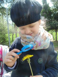 Przedszkole Żłobek Centrum Terapeutyczne | Limanowa Mordarka Przyszowa | skrzatek.eu|Co biega i lata po trawach i kwiatach