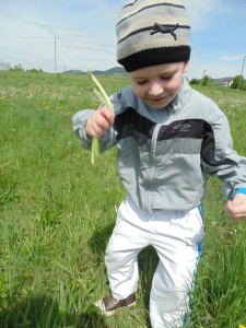 Przedszkole Żłobek Centrum Terapeutyczne | Limanowa Mordarka Przyszowa | skrzatek.eu|Co biega i lata po trawach i kwiatach