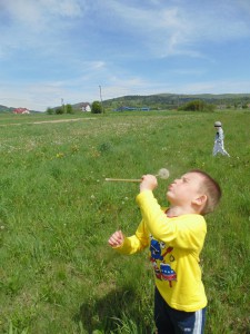 Przedszkole Żłobek Centrum Terapeutyczne | Limanowa Mordarka Przyszowa | skrzatek.eu|Co biega i lata po trawach i kwiatach