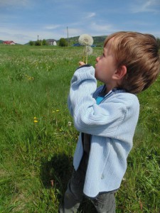 Przedszkole Żłobek Centrum Terapeutyczne | Limanowa Mordarka Przyszowa | skrzatek.eu|Co biega i lata po trawach i kwiatach