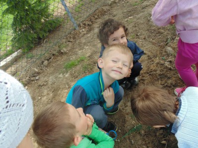 Przedszkole Żłobek Centrum Terapeutyczne | Limanowa Mordarka Przyszowa | skrzatek.eu|Co biega i lata po trawach i kwiatach