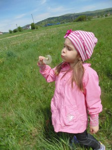 Przedszkole Żłobek Centrum Terapeutyczne | Limanowa Mordarka Przyszowa | skrzatek.eu|Co biega i lata po trawach i kwiatach