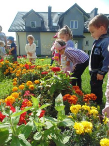 Przedszkole Żłobek Centrum Terapeutyczne | Limanowa Mordarka Przyszowa | skrzatek.eu|Letnio- jesienny zbiór plonów