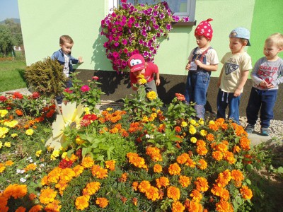 Przedszkole Żłobek Centrum Terapeutyczne | Limanowa Mordarka Przyszowa | skrzatek.eu|Letnio- jesienny zbiór plonów