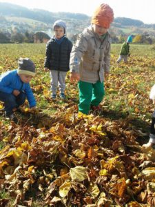 Przedszkole Żłobek Centrum Terapeutyczne | Limanowa Mordarka Przyszowa | skrzatek.eu|Jesienny spacer sloneczek