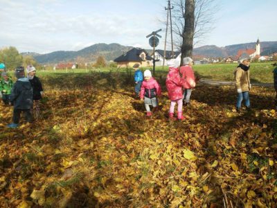 Przedszkole Żłobek Centrum Terapeutyczne | Limanowa Mordarka Przyszowa | skrzatek.eu|Jesienny spacer sloneczek