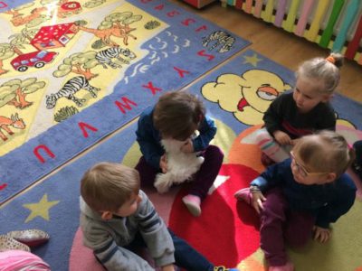 Przedszkole Żłobek Centrum Terapeutyczne | Limanowa Mordarka Przyszowa | skrzatek.eu|DZIEŃ KOTA