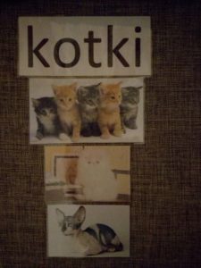 Przedszkole Żłobek Centrum Terapeutyczne | Limanowa Mordarka Przyszowa | skrzatek.eu|DZIEŃ KOTA