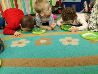 Przedszkole Żłobek Centrum Terapeutyczne | Limanowa Mordarka Przyszowa | skrzatek.eu|DZIEŃ KOTA
