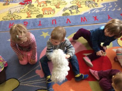Przedszkole Żłobek Centrum Terapeutyczne | Limanowa Mordarka Przyszowa | skrzatek.eu|DZIEŃ KOTA