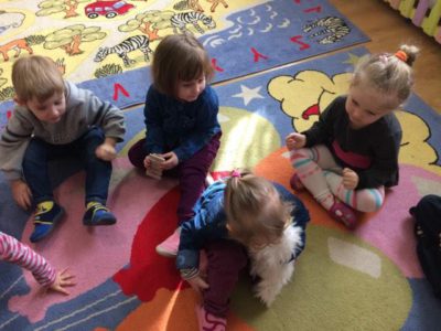 Przedszkole Żłobek Centrum Terapeutyczne | Limanowa Mordarka Przyszowa | skrzatek.eu|DZIEŃ KOTA