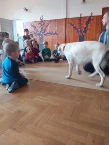 Przedszkole Żłobek Centrum Terapeutyczne | Limanowa Mordarka Przyszowa | skrzatek.eu|Dogoterapia