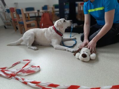 Przedszkole Żłobek Centrum Terapeutyczne | Limanowa Mordarka Przyszowa | skrzatek.eu|DOGOTERAPIA