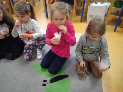 Przedszkole Żłobek Centrum Terapeutyczne | Limanowa Mordarka Przyszowa | skrzatek.eu|Warsztaty 