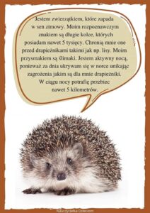 Przedszkole Żłobek Centrum Terapeutyczne | Limanowa Mordarka Przyszowa | skrzatek.eu|Dzień Jeża