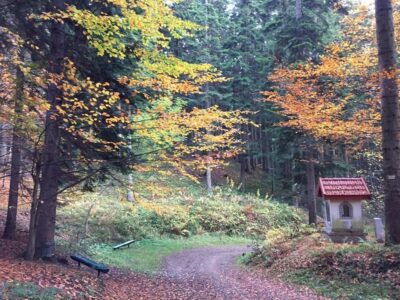 Przedszkole Żłobek Centrum Terapeutyczne | Limanowa Mordarka Przyszowa | skrzatek.eu|Odkrywamy Beskid Wyspowy