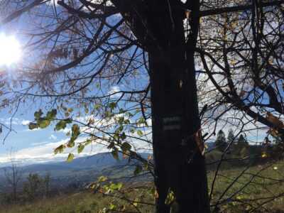 Przedszkole Żłobek Centrum Terapeutyczne | Limanowa Mordarka Przyszowa | skrzatek.eu|Odkrywamy Beskid Wyspowy