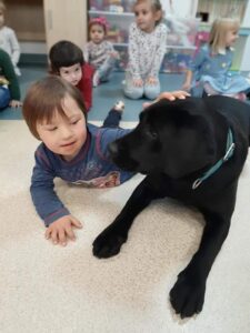 Przedszkole Żłobek Centrum Terapeutyczne | Limanowa Mordarka Przyszowa | skrzatek.eu|Dogoterapia w naszym przedszkolu