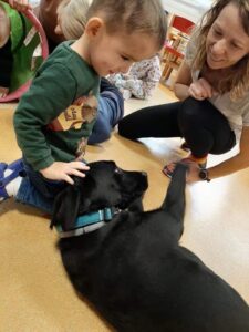 Przedszkole Żłobek Centrum Terapeutyczne | Limanowa Mordarka Przyszowa | skrzatek.eu|Dogoterapia w naszym przedszkolu