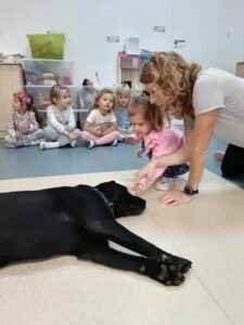 Przedszkole Żłobek Centrum Terapeutyczne | Limanowa Mordarka Przyszowa | skrzatek.eu|Dogoterapia w naszym przedszkolu