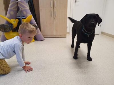 Przedszkole Żłobek Centrum Terapeutyczne | Limanowa Mordarka Przyszowa | skrzatek.eu|Dogoterapia w naszym przedszkolu