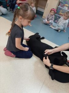Przedszkole Żłobek Centrum Terapeutyczne | Limanowa Mordarka Przyszowa | skrzatek.eu|Dogoterapia w naszym przedszkolu