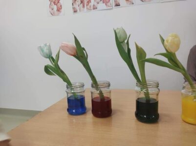 Przedszkole Żłobek Centrum Terapeutyczne | Limanowa Mordarka Przyszowa | skrzatek.eu|Kółko badawczo – eksperymentalne „Mali odkrywcy”