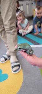 Przedszkole Żłobek Centrum Terapeutyczne | Limanowa Mordarka Przyszowa | skrzatek.eu|Dzisiaj w naszym przedszkolu odbył się magiczny pokaz płazów 🐸✨