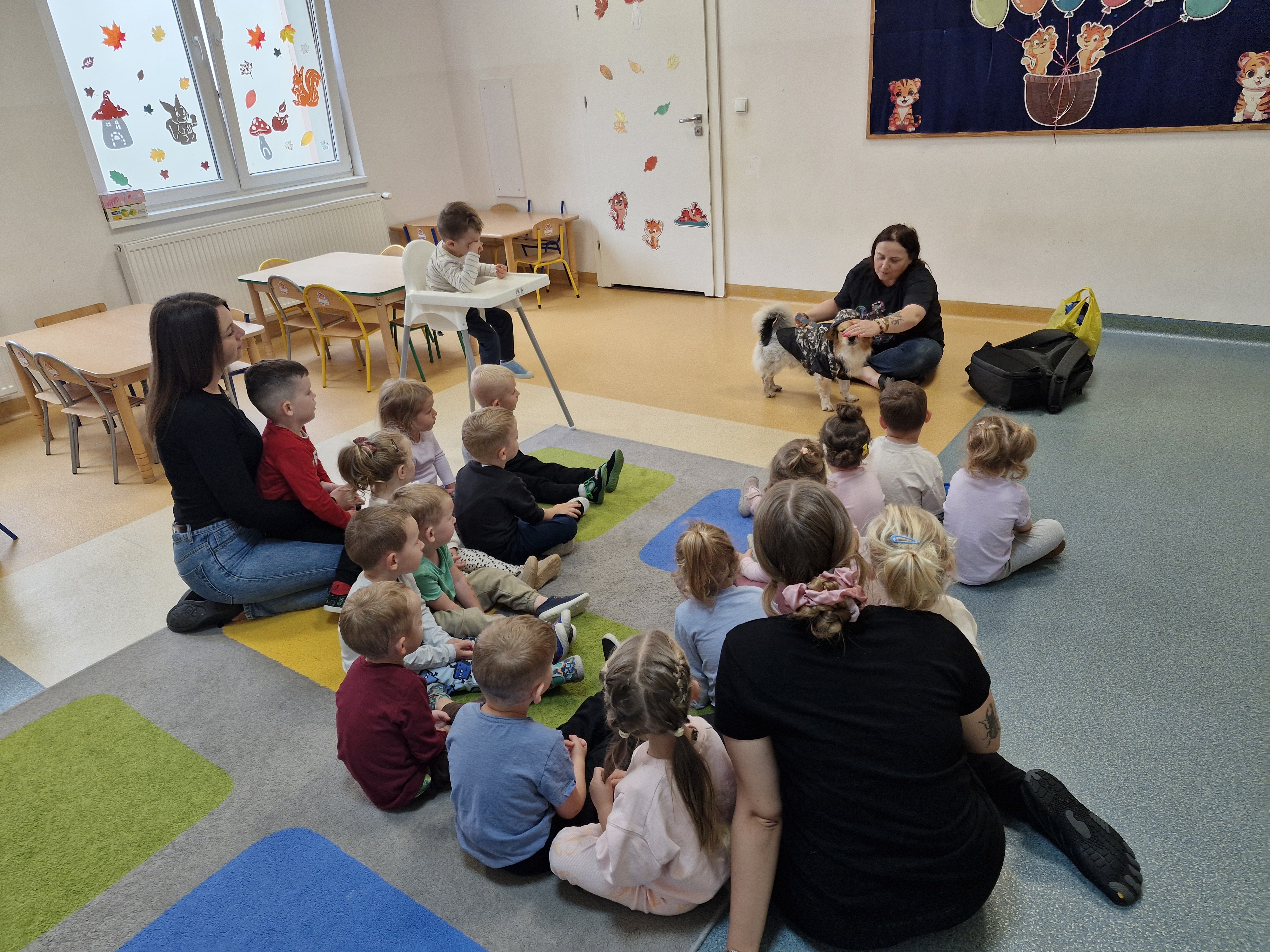 Dogoterapia 🐶🐶🐶