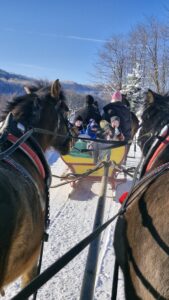 Przedszkole Żłobek Centrum Terapeutyczne | Limanowa Mordarka Przyszowa | skrzatek.eu|🐴Kulig 🐴 - Laskowa Załpie