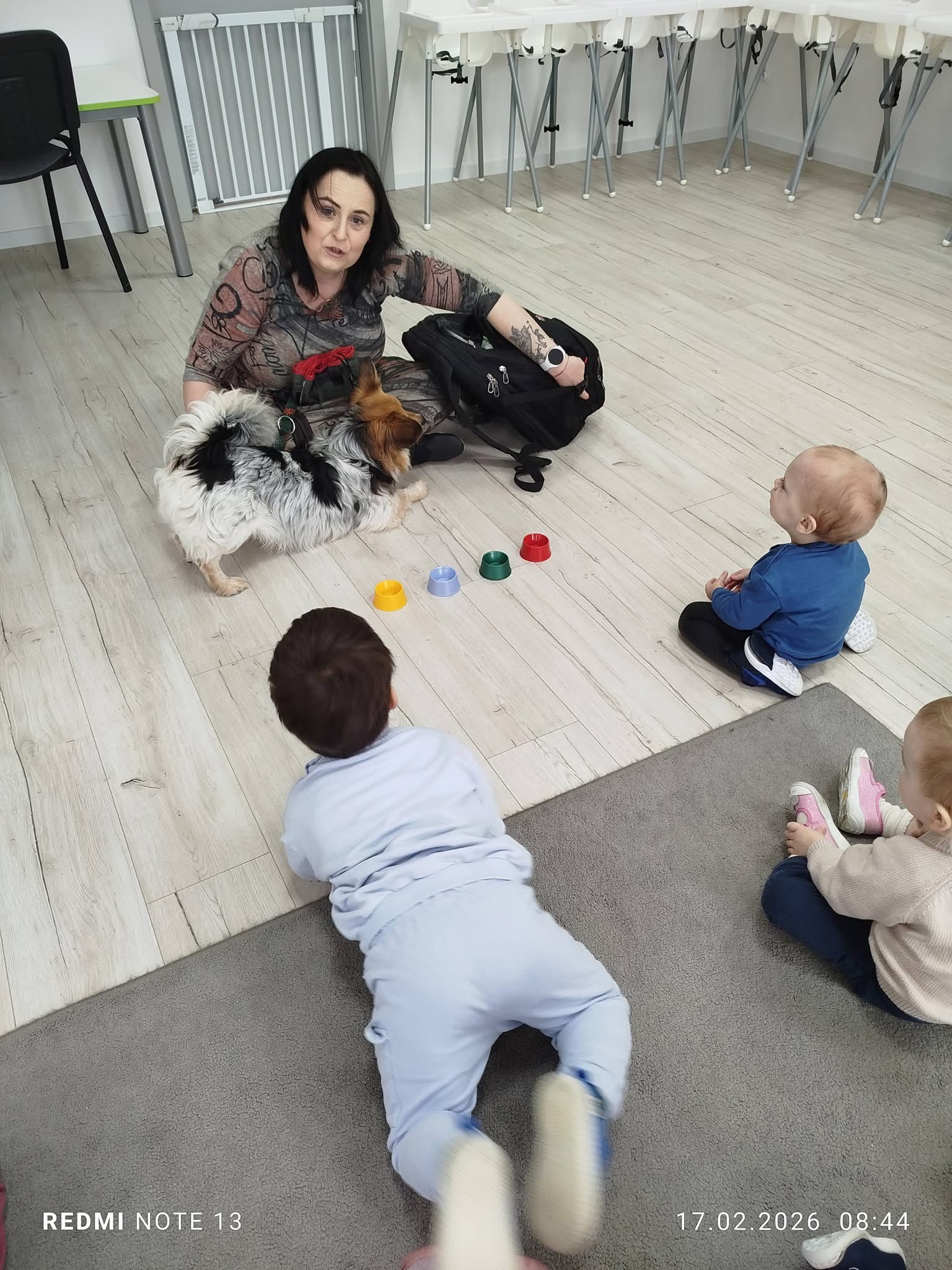 Dogoterapia 🐕‍🦺