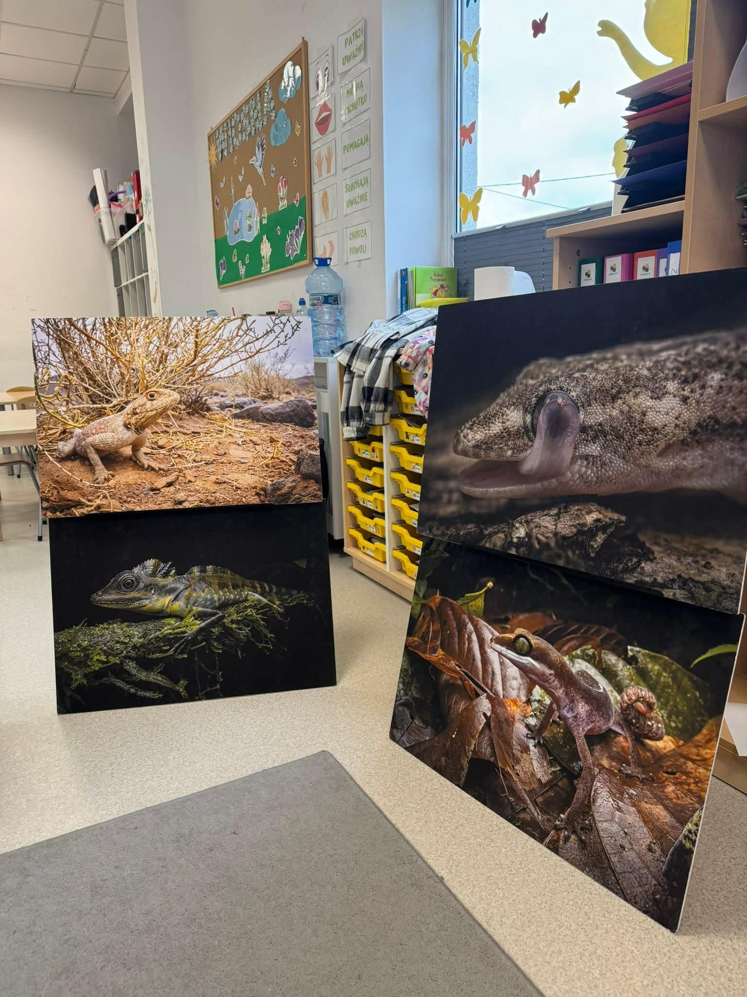 Pokaz jaszczurek 🦎💚🦎💚